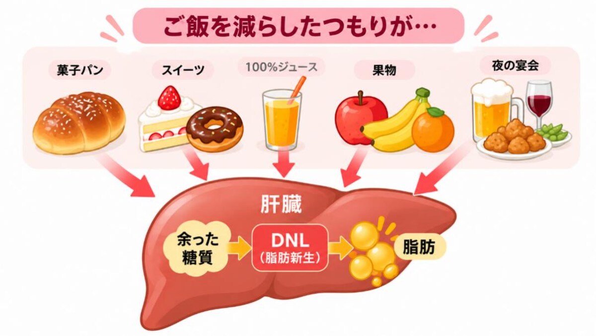 大量に糖質を摂るとエネルギーが余り、肝臓で脂肪をつくる材料になる