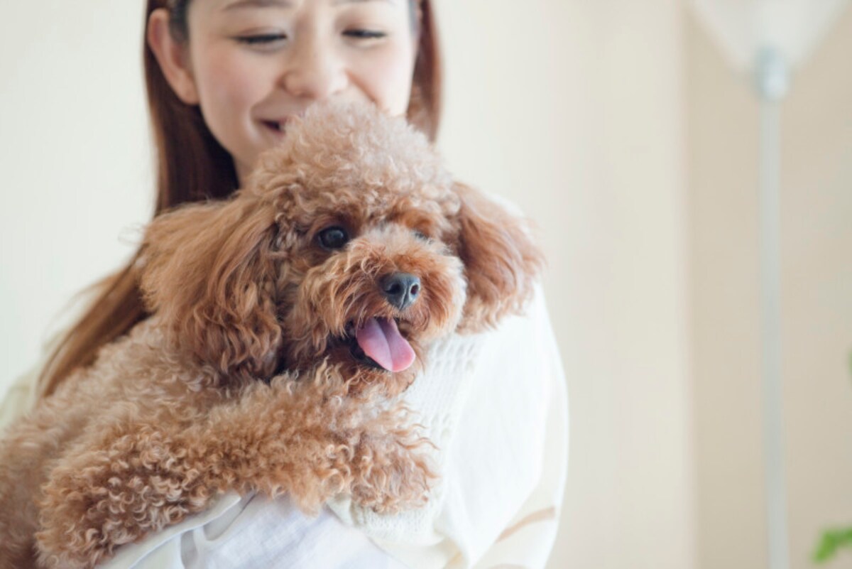 ペット好きに愛玩動物飼育管理士の資格