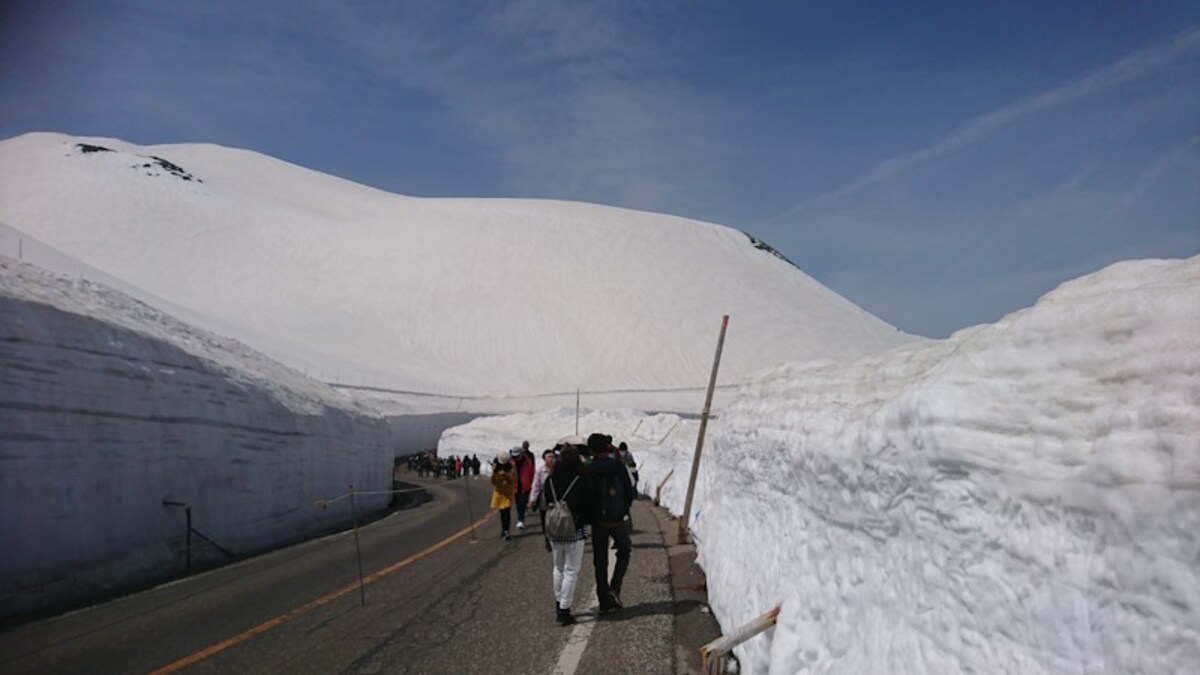 立山・雪の大谷(4)