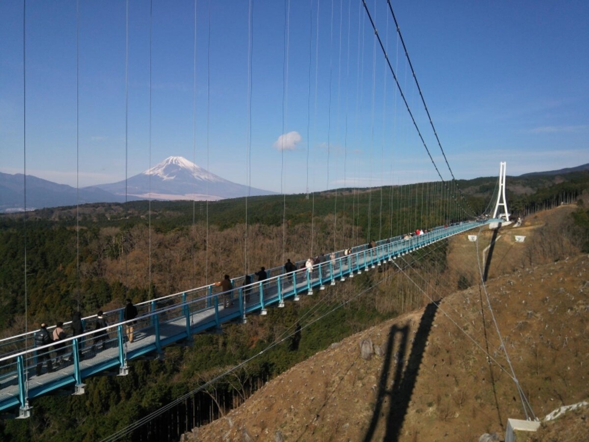三島スカイウォークと富士山を望む(1)