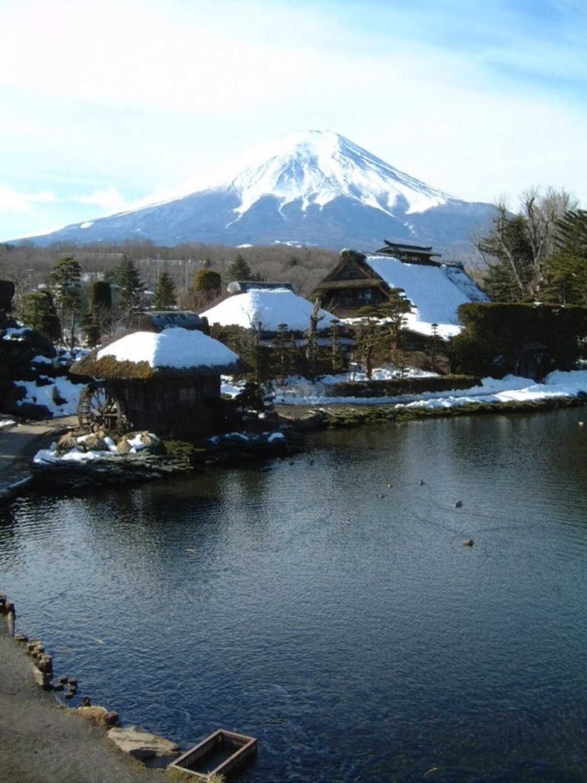 忍野八海・榛の木林資料館から眺める富士山(2)