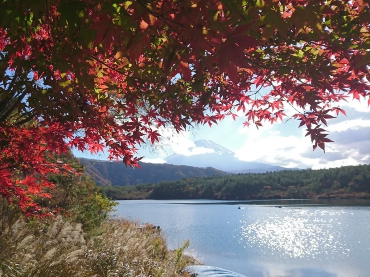 本栖湖から眺める富士山(2)