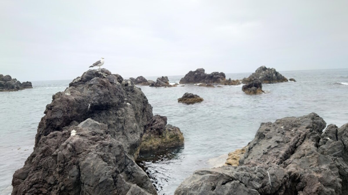仙法志御崎公園(1)
