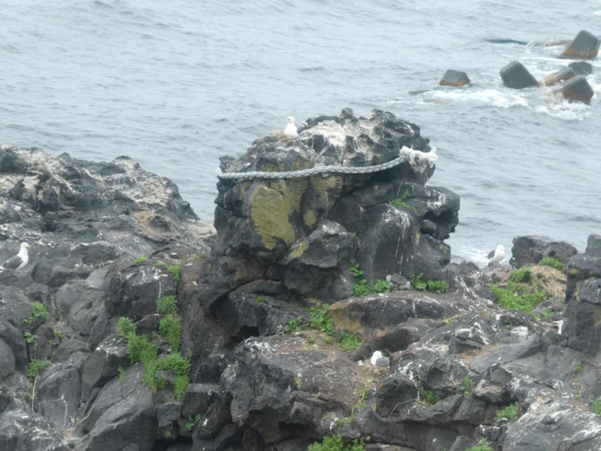 人面岩