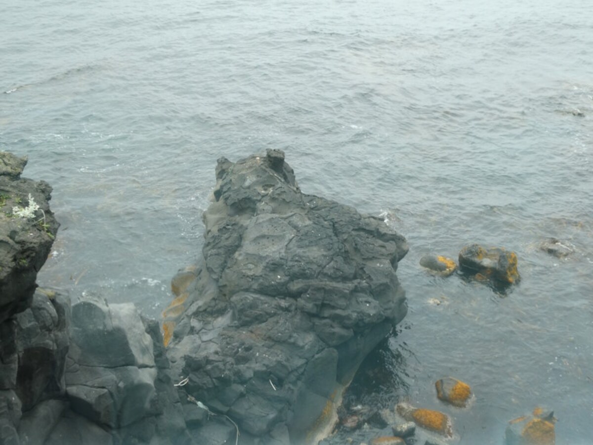 寝熊の岩