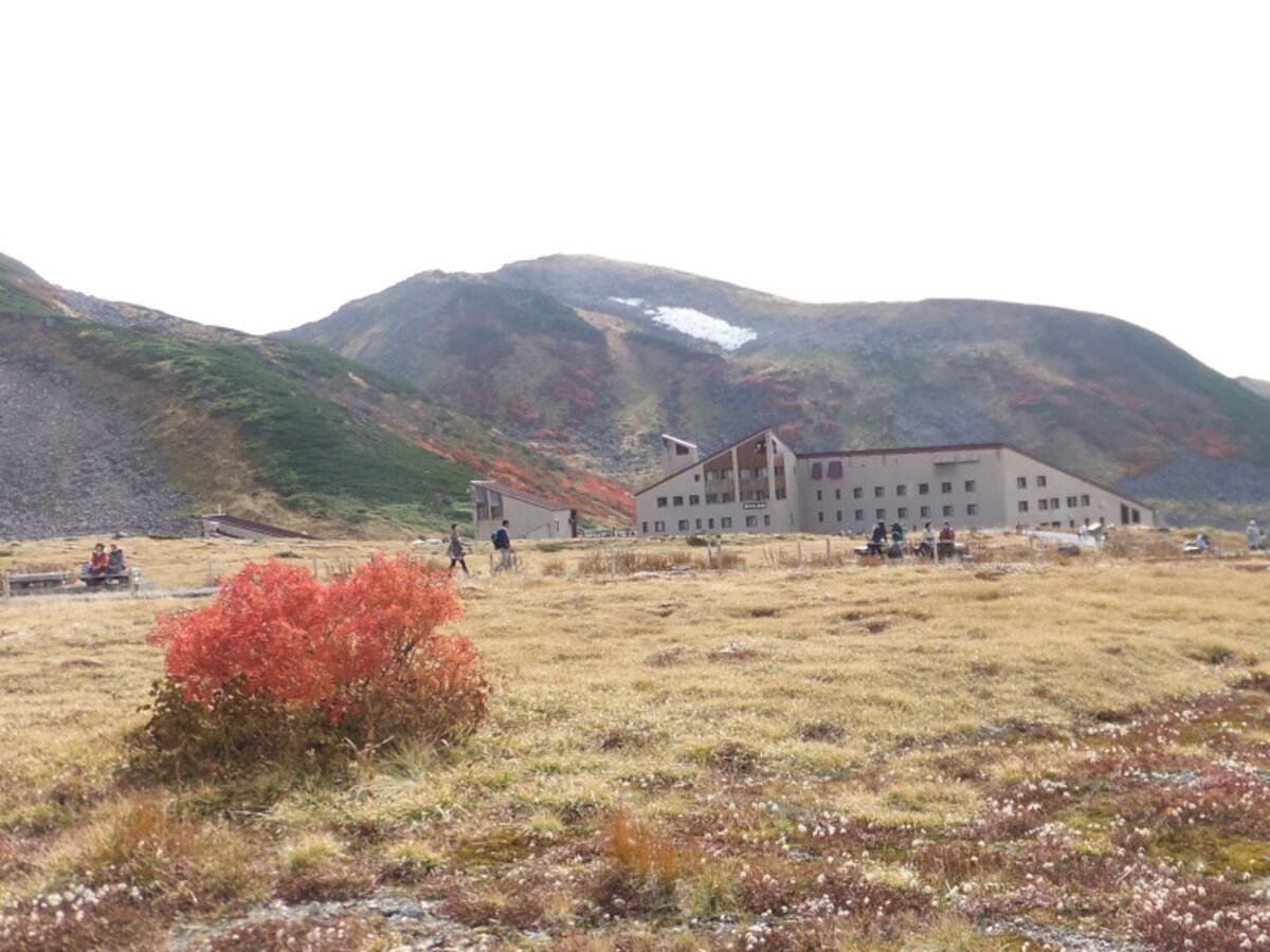 室堂平の紅葉(2)