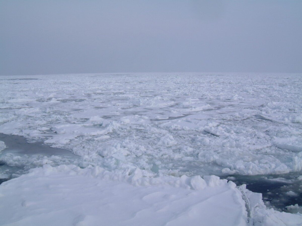 紋別の流氷(5)