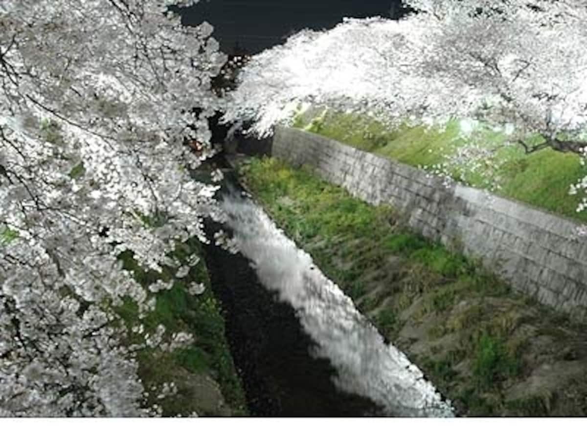 山崎川