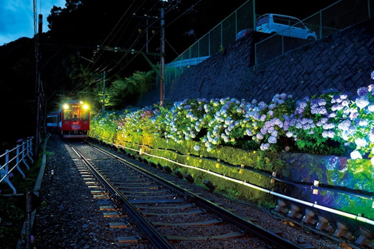 夜のあじさい号