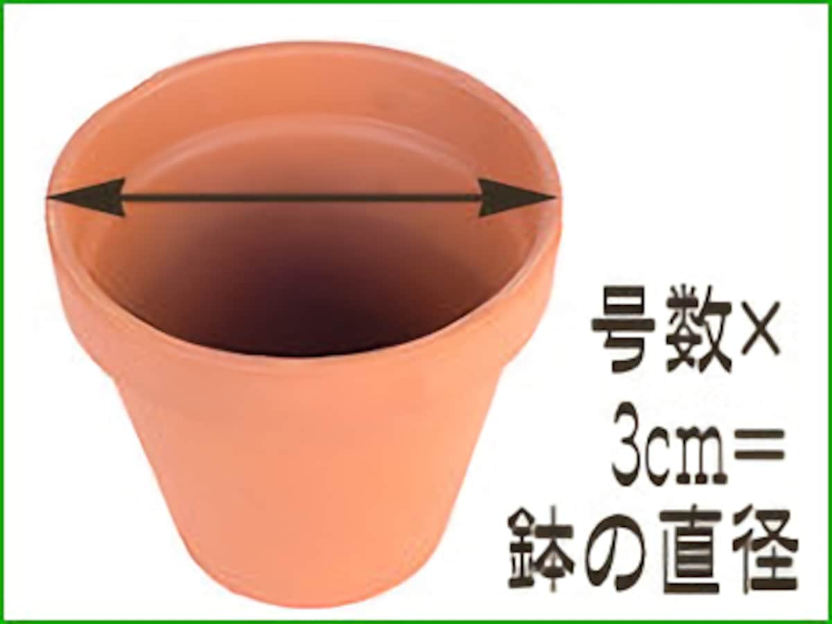 鉢のサイズは号数×3センチが直径となる