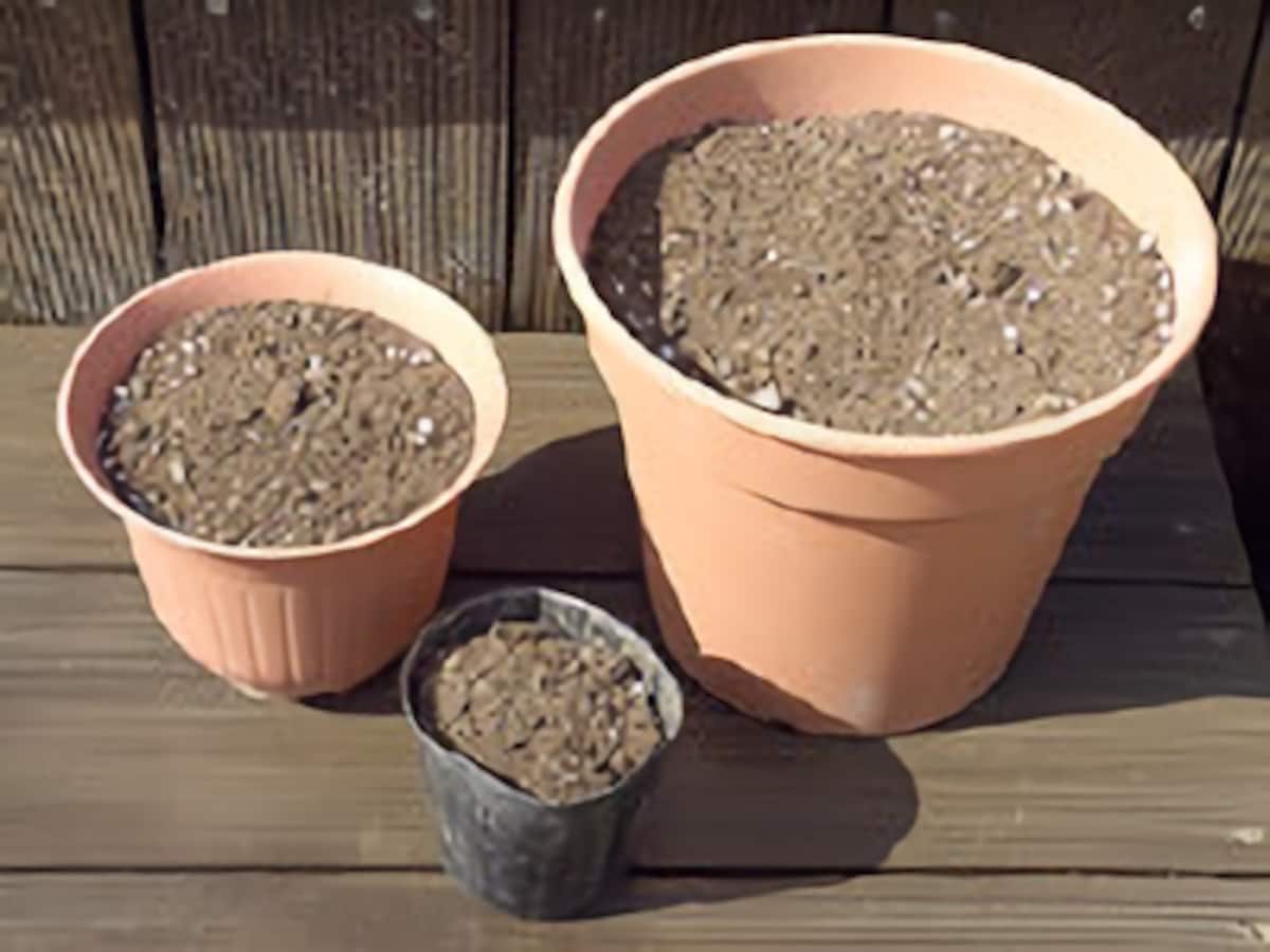 手持ちの鉢に入る土の量を把握しておこう