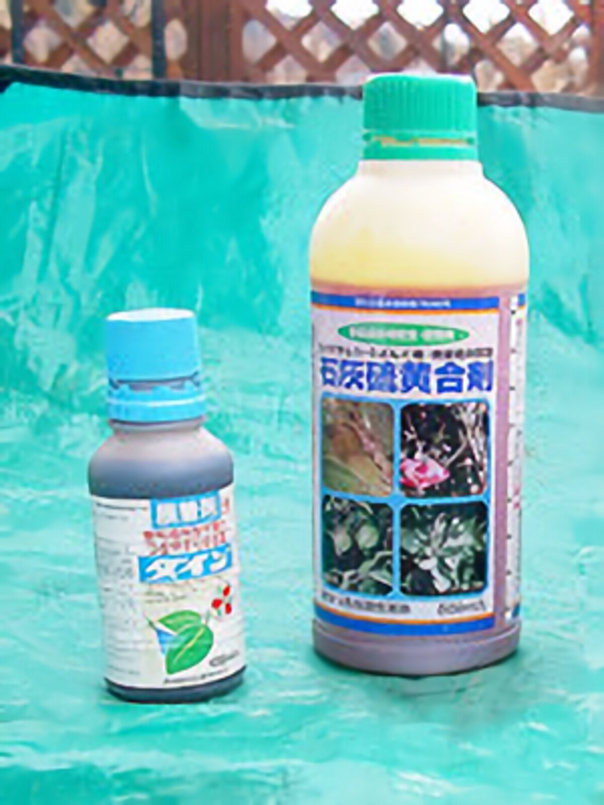 石灰硫黄合剤は、モモなど多くの果樹に薬効が認められるが……
