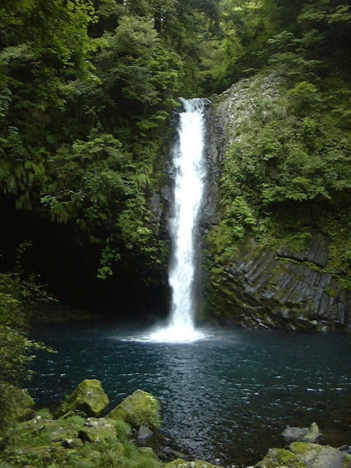 静岡／湯ヶ島・浄蓮の滝