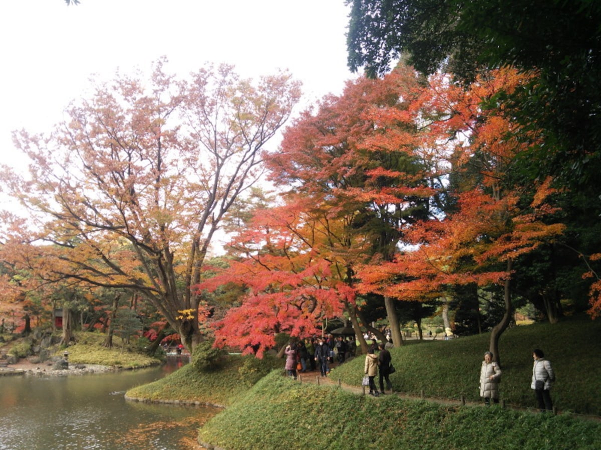 小石川後楽園の紅葉