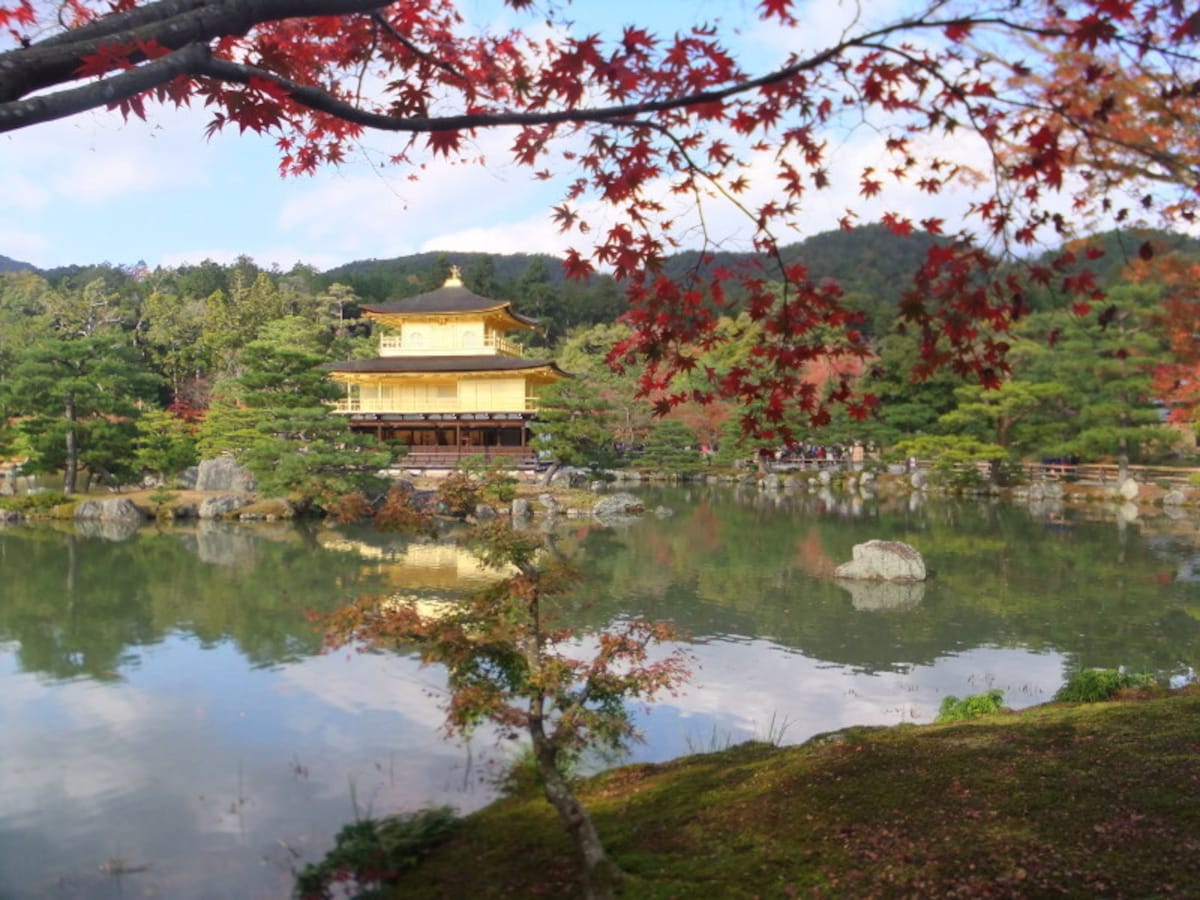 金閣寺の紅葉