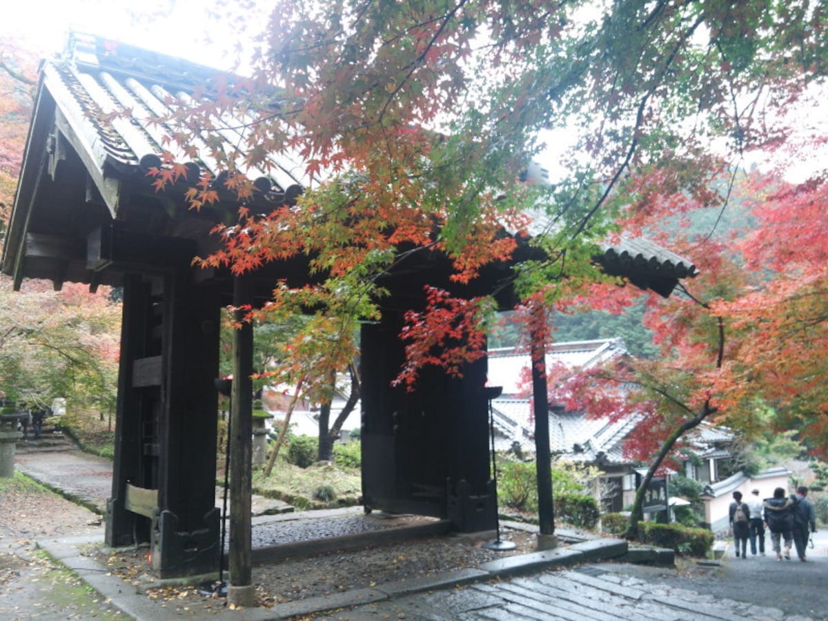秋月城址の紅葉