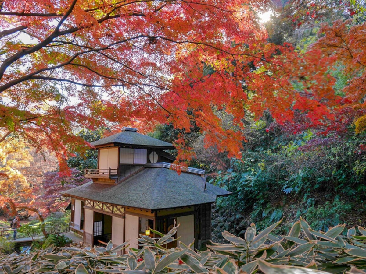 期間限定公開される「紅葉の遊歩道」からの眺め(2016年12月8日撮影)