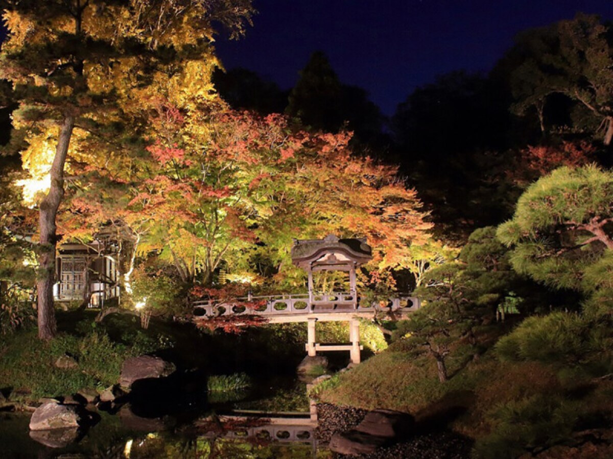 シャンパンゴールドを基調とした色味で紅葉や歴史的建造物がライトアップされます(画像提供:三溪園)