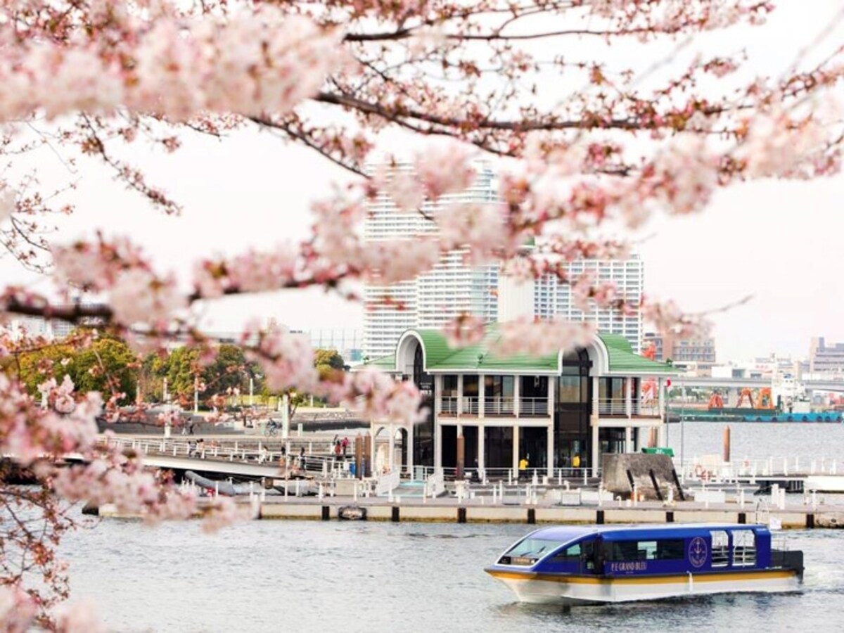 ホテル専用クルーズ船「ル・グラン・ブルー」による「大岡川桜クルーズ」の様子（画像提供：ヨコハマ グランド インターコンチネンタル ホテル）