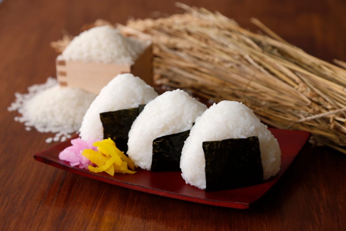 昼食は、おかずよりお米の割合が多いほうがGood