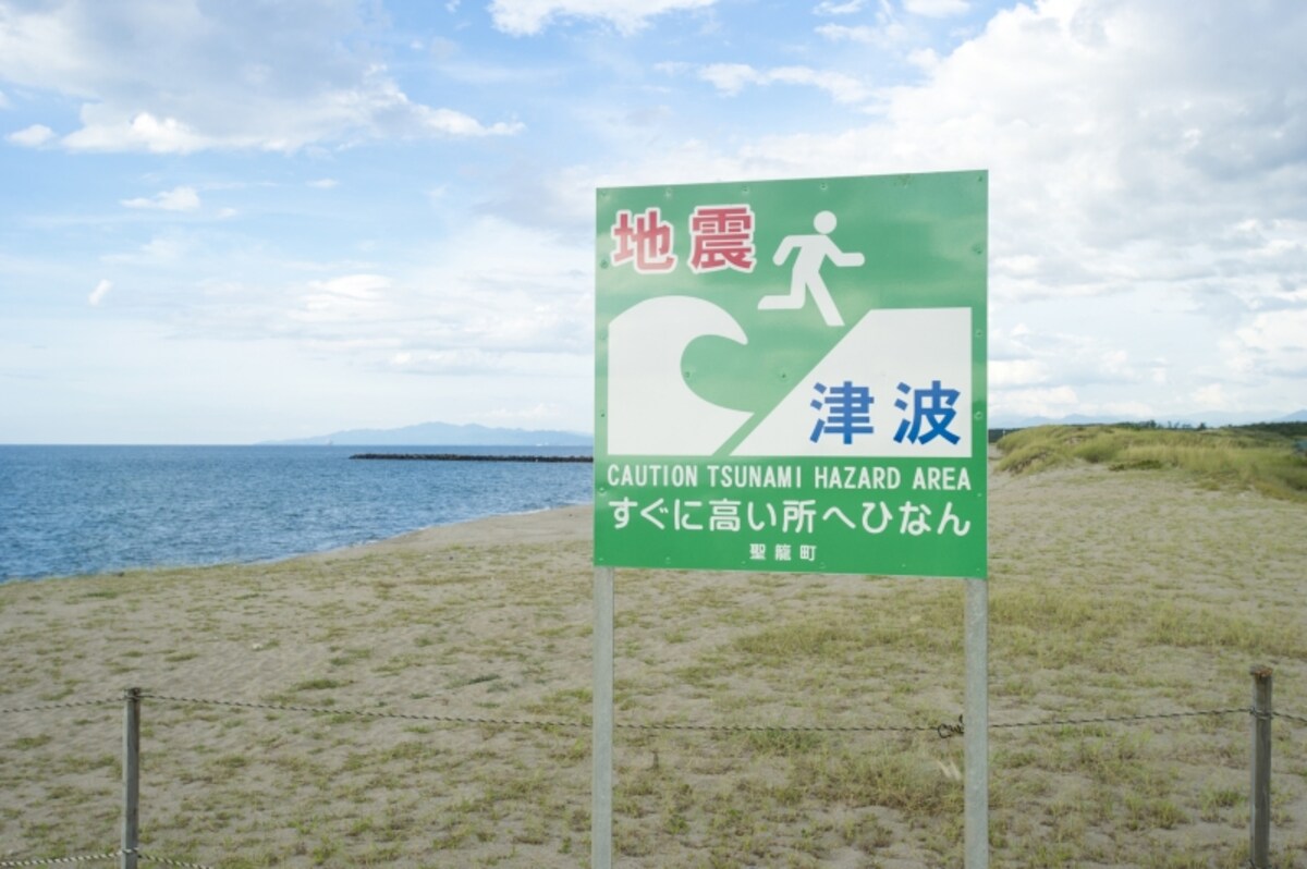 地震保険料控除の書き方 年末調整　給与所得者の保険料控除申告書 地震保険