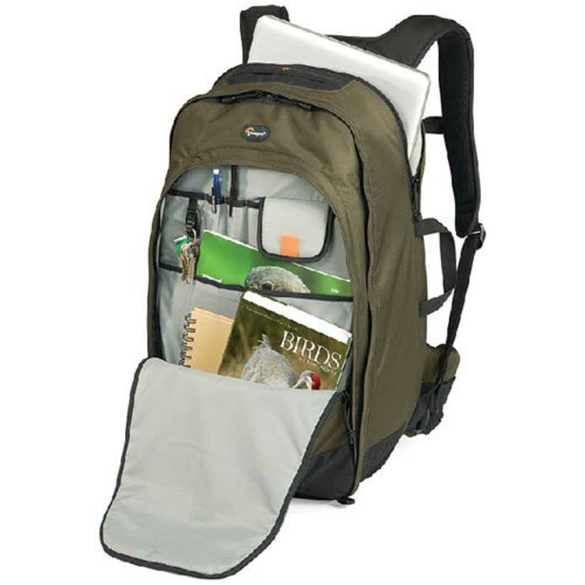  LOWEPRO カメラリュック スコープフォトトラベル350AW 15L レインカバー PCスペース有 グリーン 363580画像5 