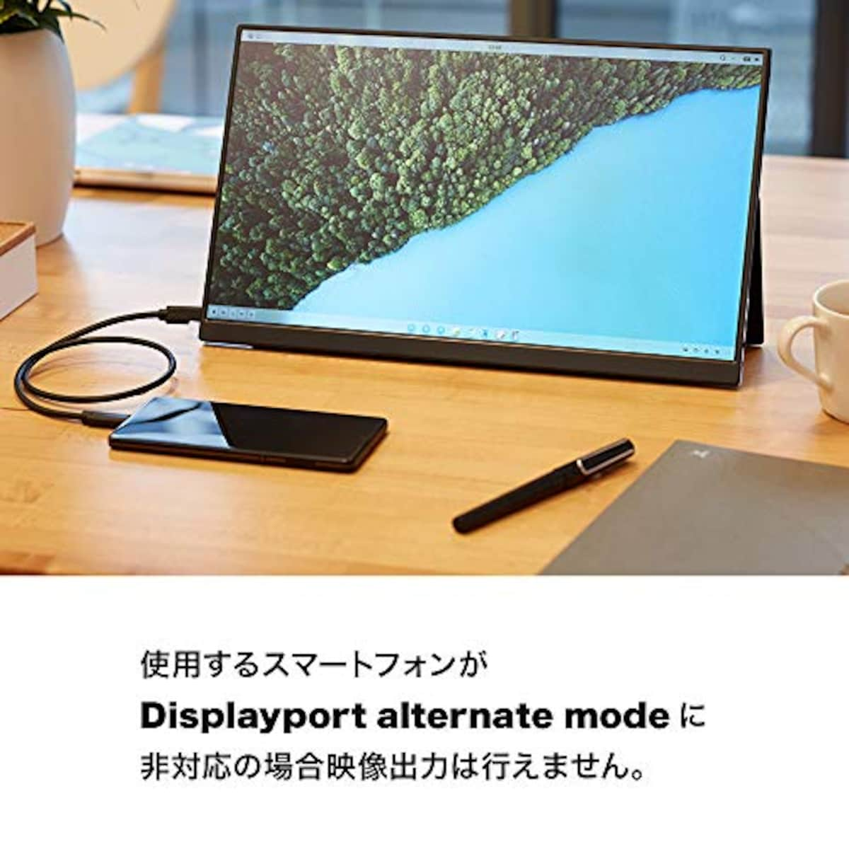  UNIQ プロメテウスモニター(Prometheus Monitor) (株)ユニーク モバイル液晶モニター 14インチ IPS液晶 視野角170° ノングレア液晶 ブルーライト軽減機能 80%カット UQ-PM14FHDNT画像8 