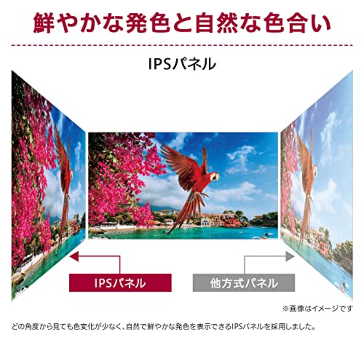  【Amazon.co.jp 限定】LG フレームレス モニター ディスプレイ 24QP500-B 23.8インチ/WQHD(2560×1440) / IPS非光沢/HDR / 75Hz / FreeSync対応/HDMI×2、DisplayPort / 3年安心・無輝点保証画像2 