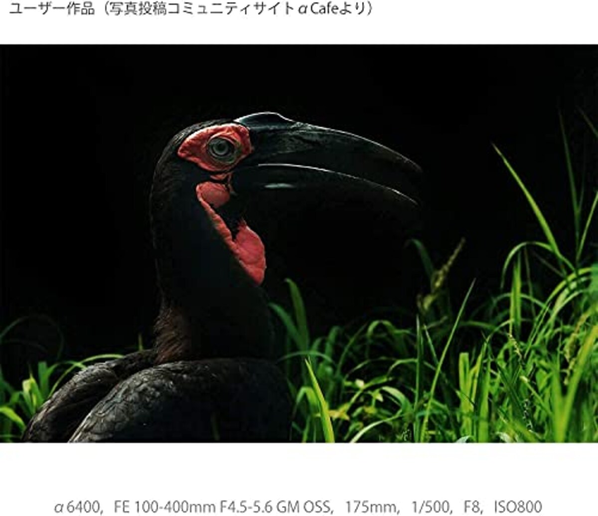  【α6400Y と ボディケース セット】 大切なカメラをキズや汚れからガードしたい方に。ILCE-6400Yダブルズームレンズキット ブラック + LCS-EBE ブラック画像10 