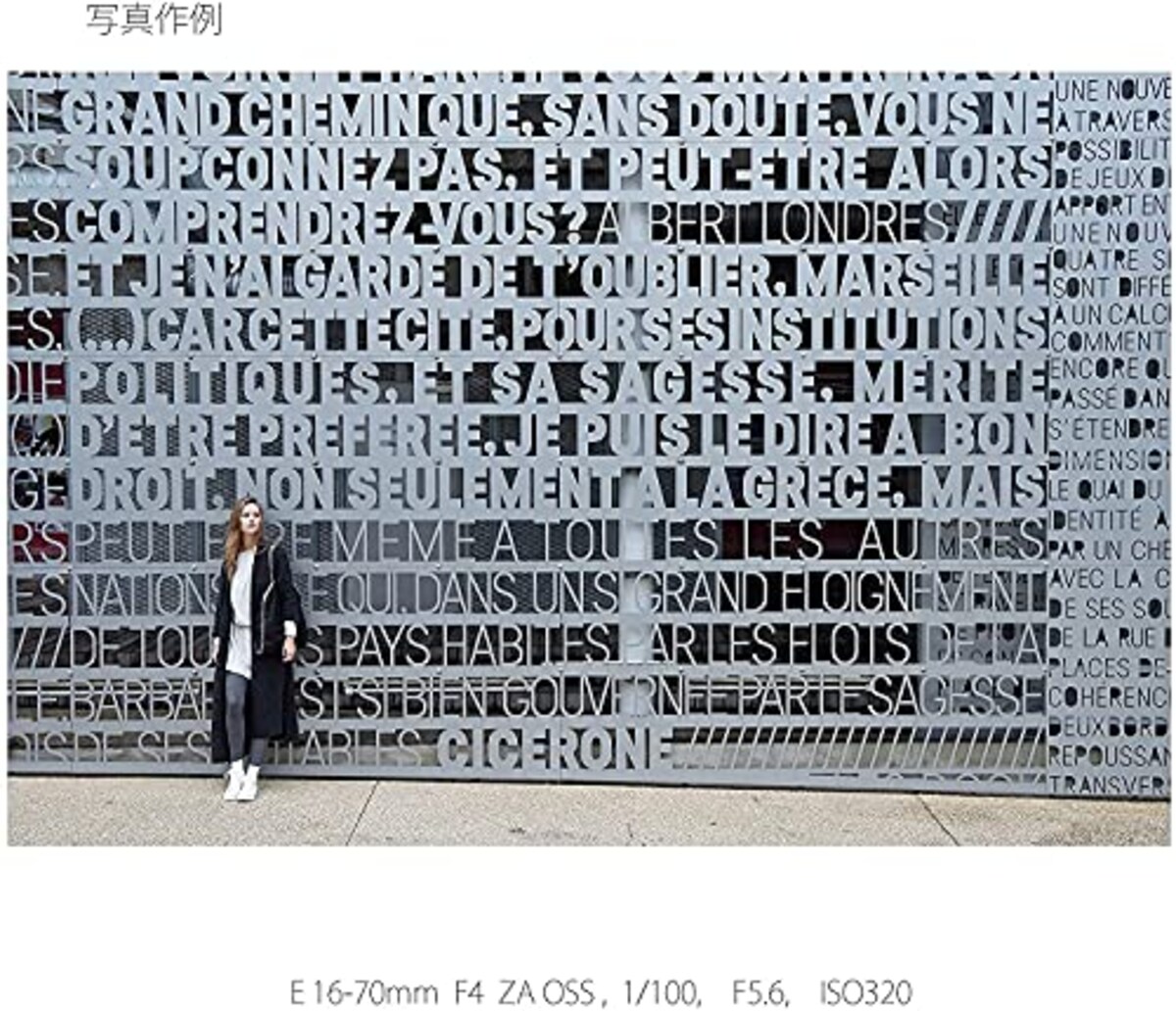  【α6400Y と ボディケース セット】 大切なカメラをキズや汚れからガードしたい方に。ILCE-6400Yダブルズームレンズキット ブラック + LCS-EBE ブラック画像20 