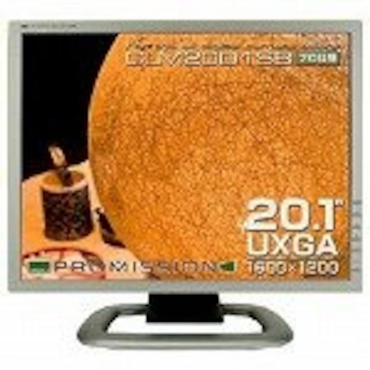 CANDELA 20.1インチ液晶ディスプレイ CLM20D1SB