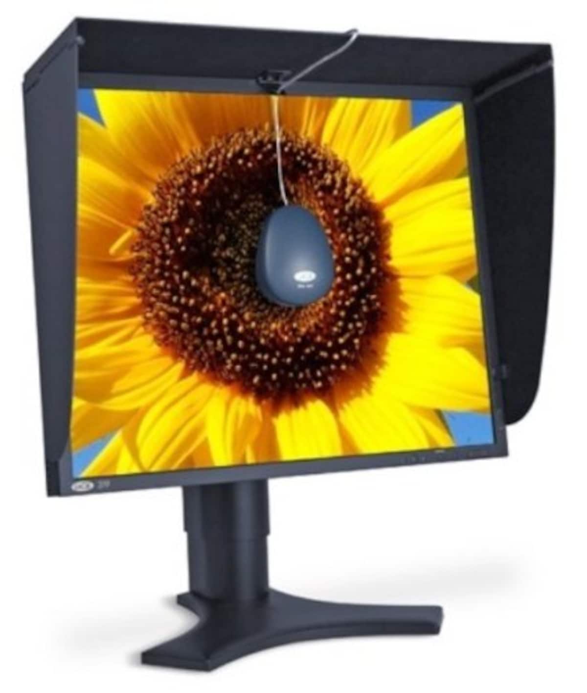 LaCie 319 LCD Monitor 130732画像3