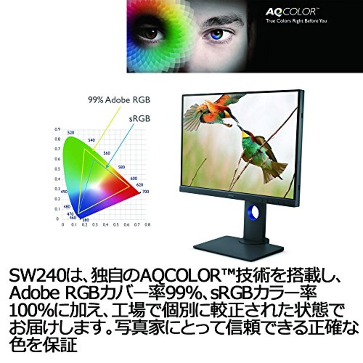  BenQ カラーマネジメントモニター ディスプレイ SW240 (24.1型/1920×1200/IPS/16:10/AdobeRGB 99%/DCI-P3 95%/キャリブレーション対応) ＋SW240対応遮光フード SH240セット画像5 