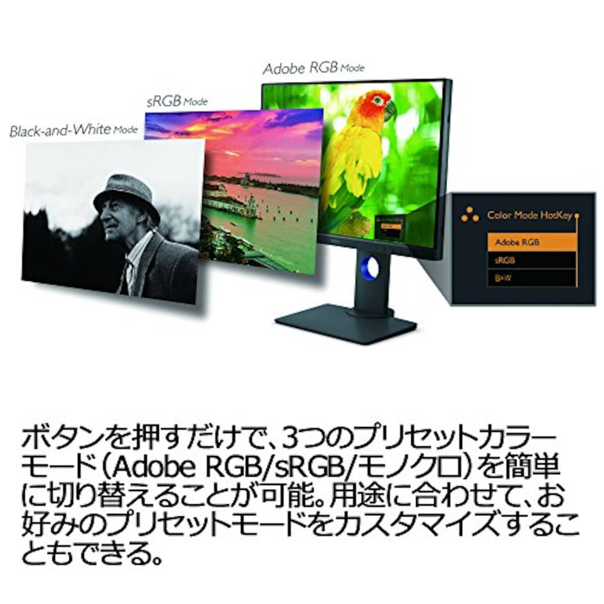  BenQ カラーマネジメントモニター ディスプレイ SW240 (24.1型/1920×1200/IPS/16:10/AdobeRGB 99%/DCI-P3 95%/キャリブレーション対応) ＋SW240対応遮光フード SH240セット画像7 