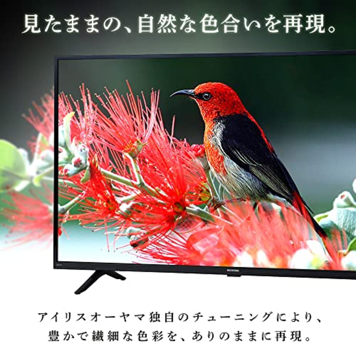  アイリスオーヤマ 24V型 液晶 テレビ 24WB10PB 2022年モデル Wチューナー 裏番組同時録画 外付けHDD録画対応画像4 