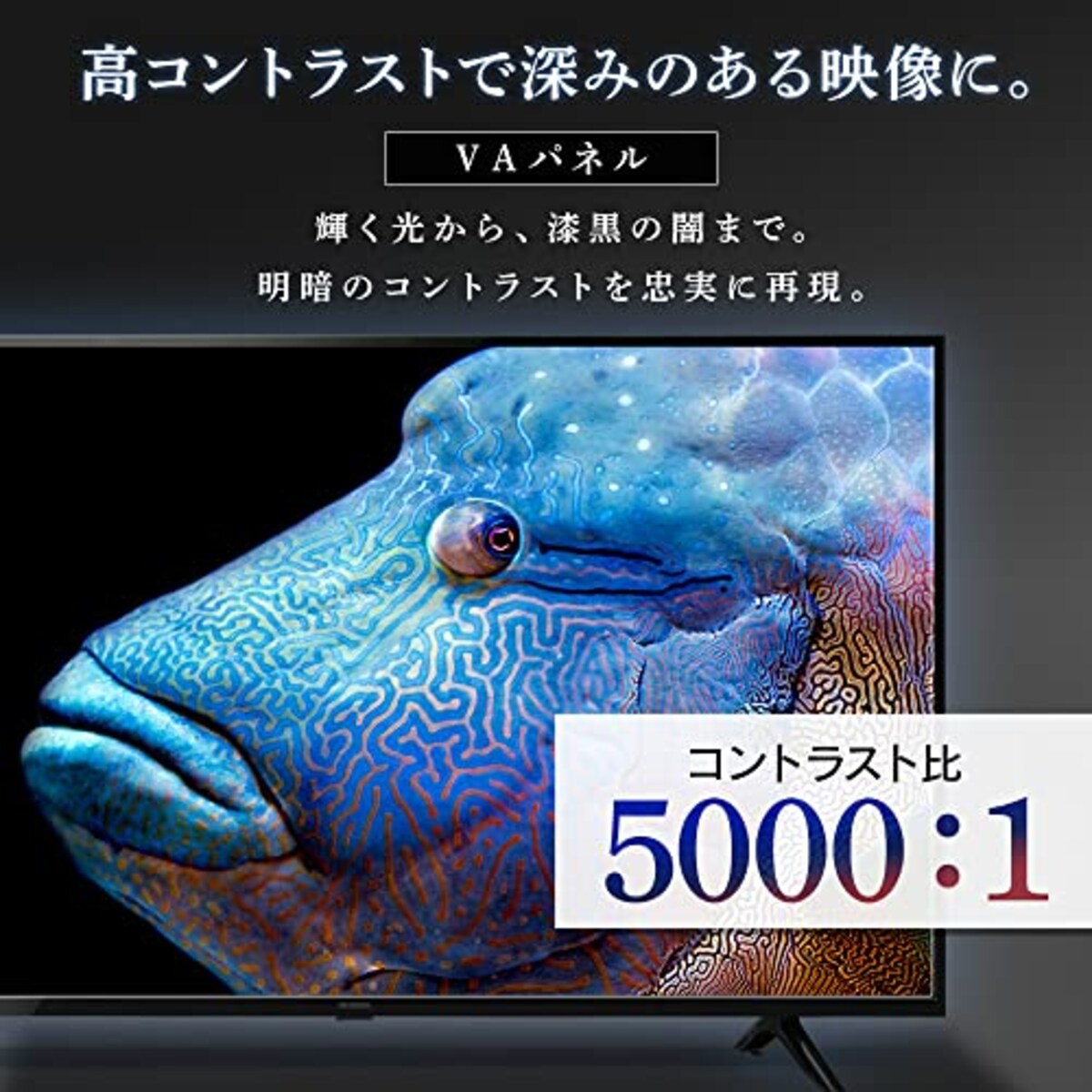  アイリスオーヤマ 55V型 4K対応 液晶 テレビ 55UB10PC 2022年モデル Wチューナー 裏番組同時録画 外付けHDD録画対応画像5 