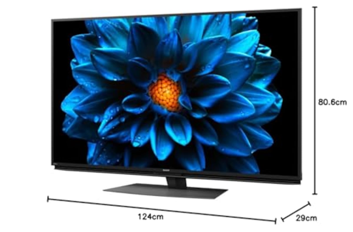  シャープ 55V型 4K 液晶 テレビ AQUOS 4T-C55DN1 N-Blackパネル 倍速液晶 Android TV (2021年モデル)画像21 