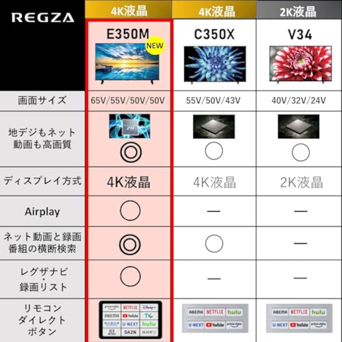  REGZA 43インチ Airplay ネット動画対応 4K E350Mシリーズ 液晶 43E350M スマートテレビ 2023年モデル画像3 