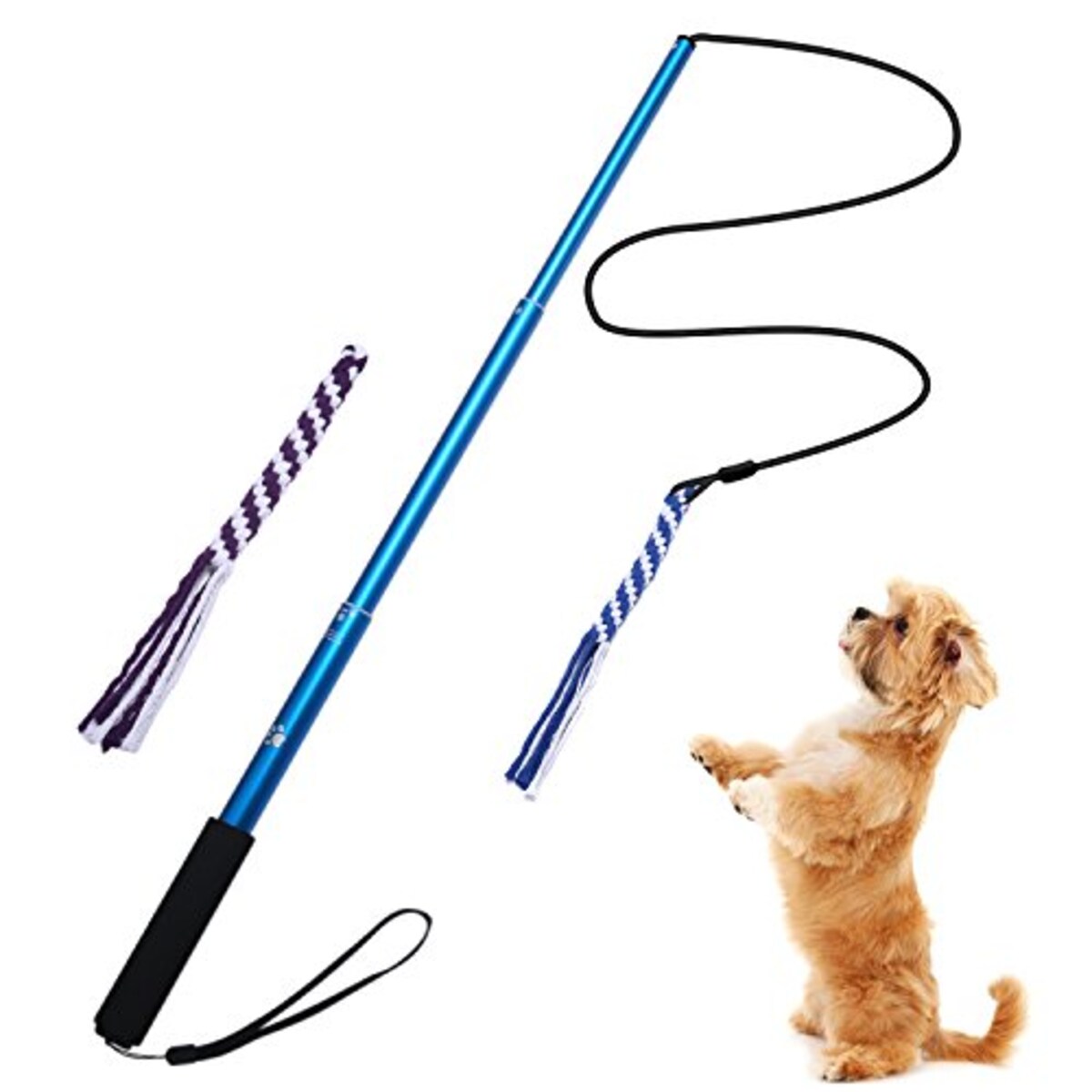 交換用ロープ付き犬用おもちゃ　Sブルー