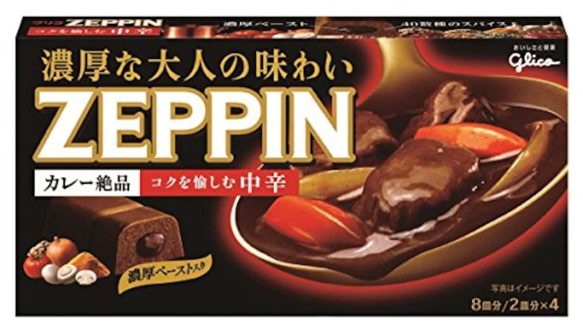 カレーZEPPIN