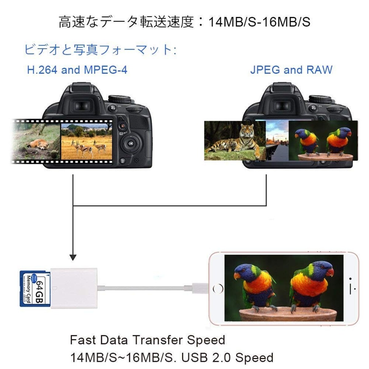  SDカードカメラリーダー画像2 