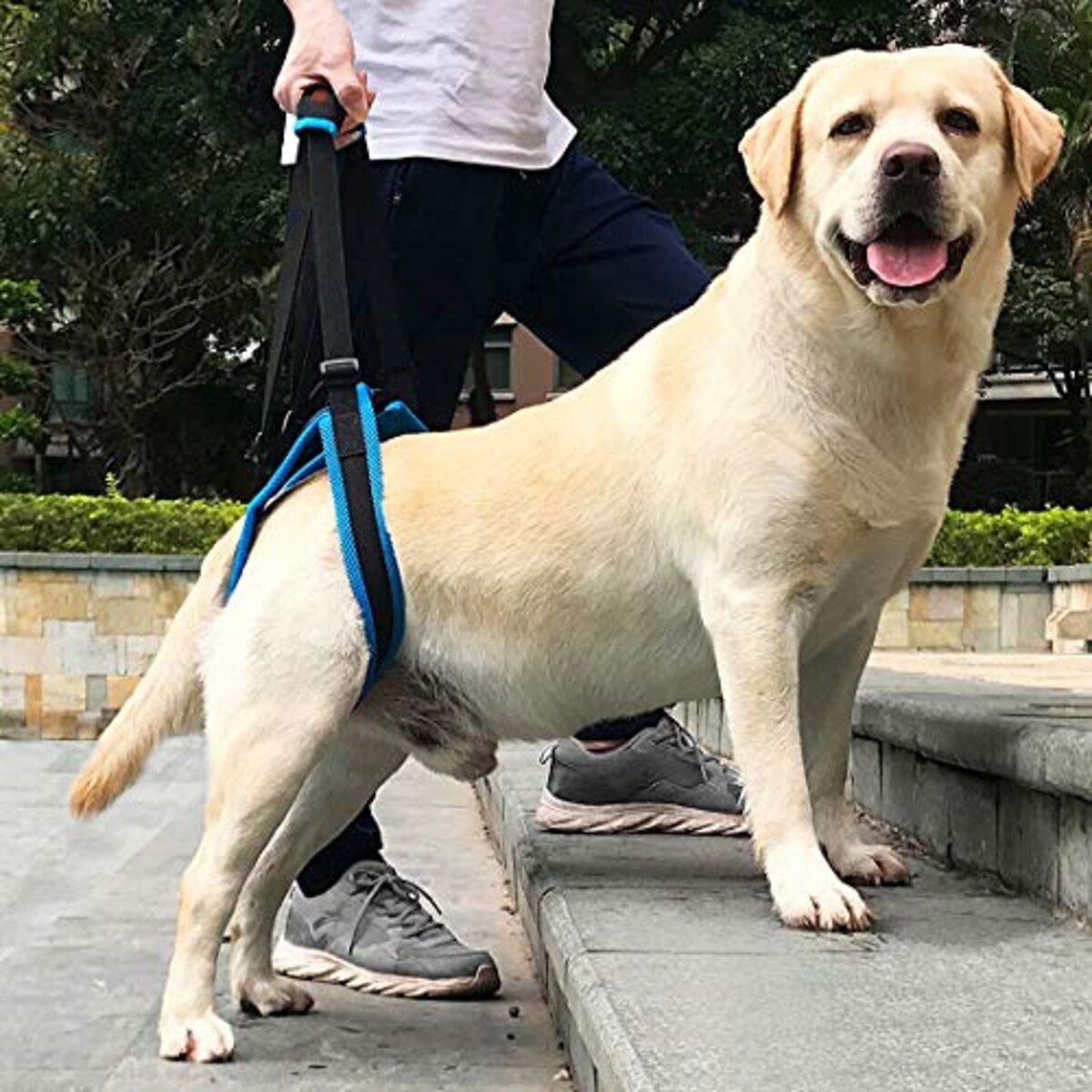 介護ハーネス
