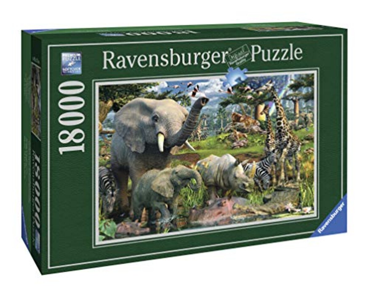 Puzzle:At the Waterhole