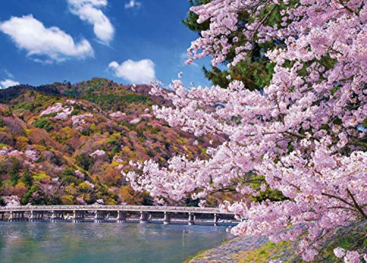 渡月橋の満開桜ー京都