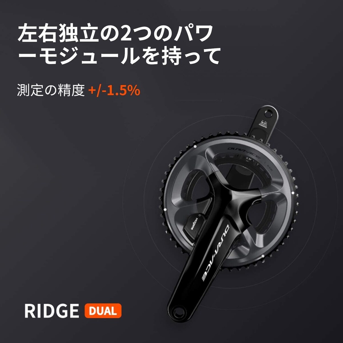  RIDGE DUAL PRO画像2 