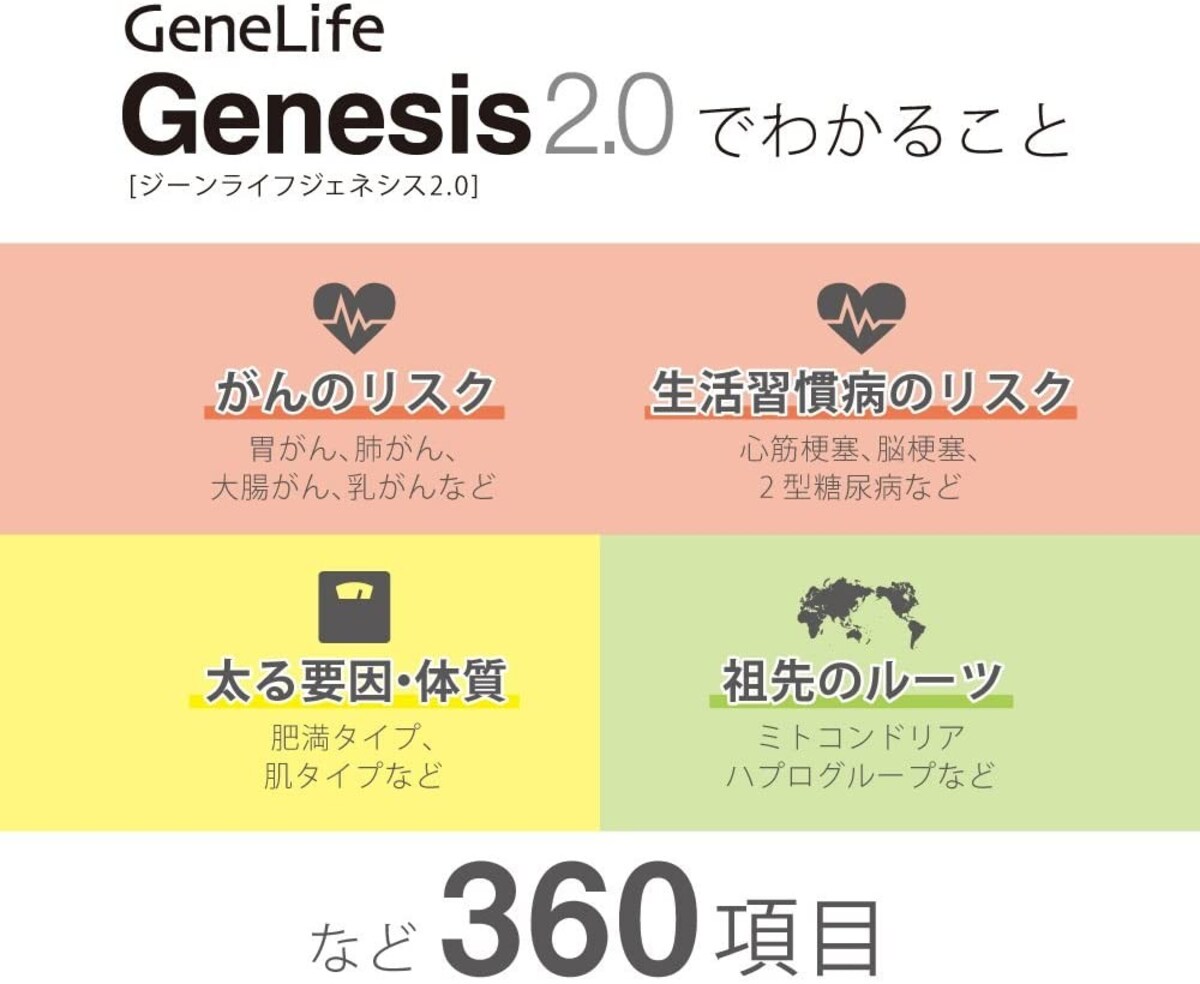  Genesis2.0（ジェネシス2.0）画像2 