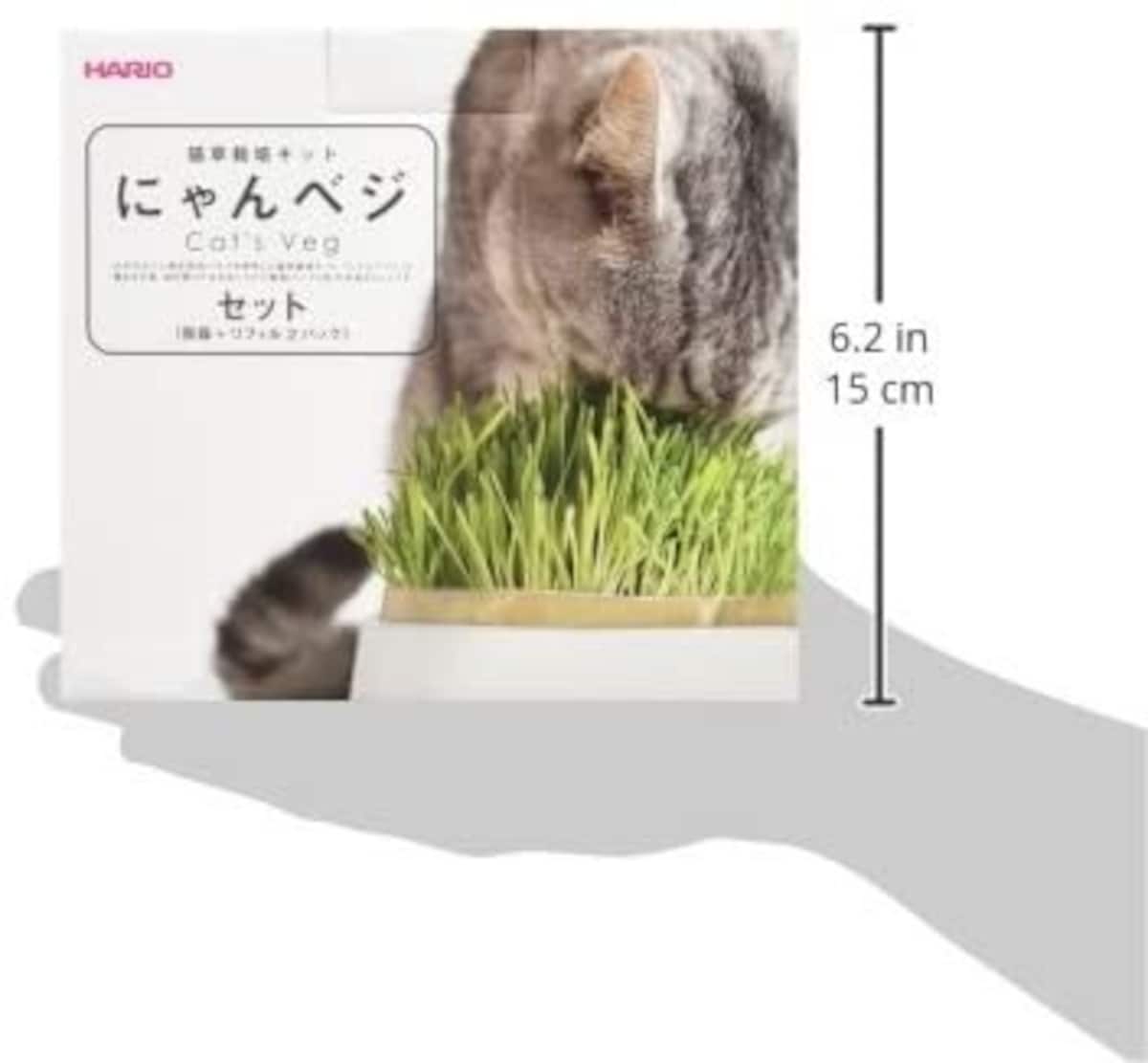  猫草栽培キットにゃんベジセット【獣医師おすすめ】画像4 