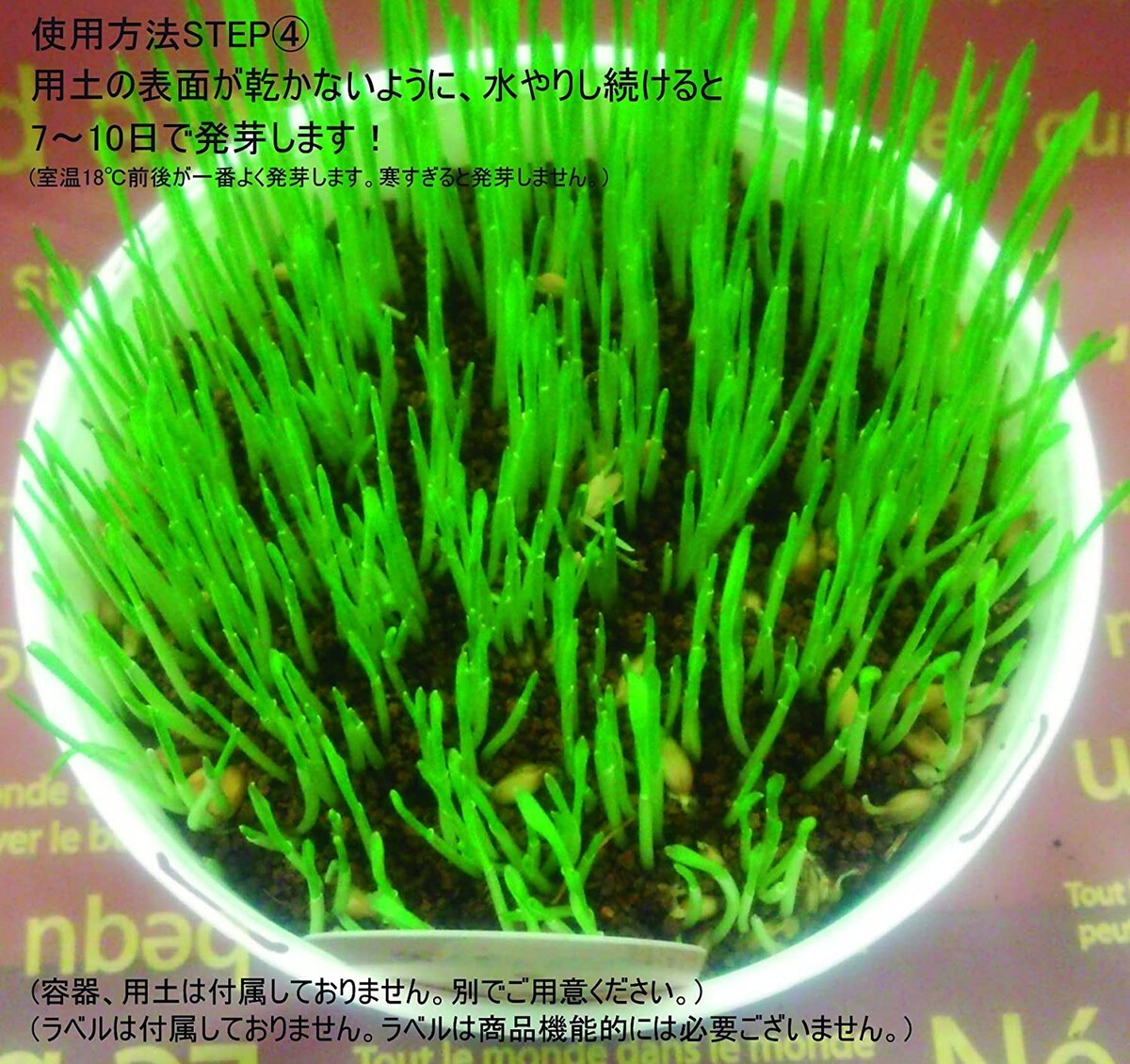  ペットが食べる草のタネ 1L詰【獣医師おすすめ】画像6 