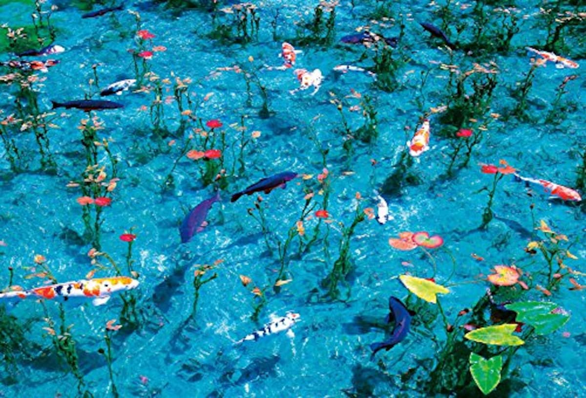 1000ピース ジグソーパズル モネの池（49×72cm）
