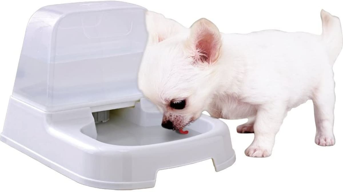 ペット用自動給水器 ホワイト